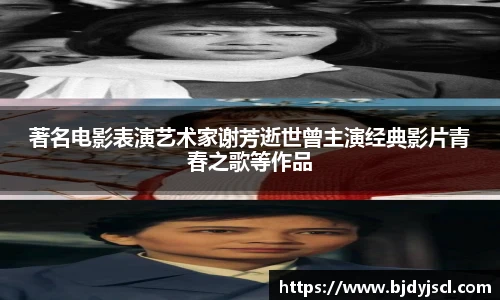 壹号国际官网